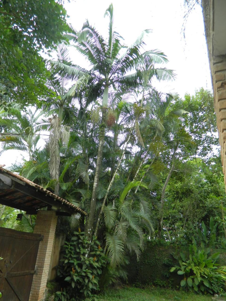 Solar Das Canoas Prumirim Ubatuba Extérieur photo